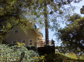 Forest Pine Inn
